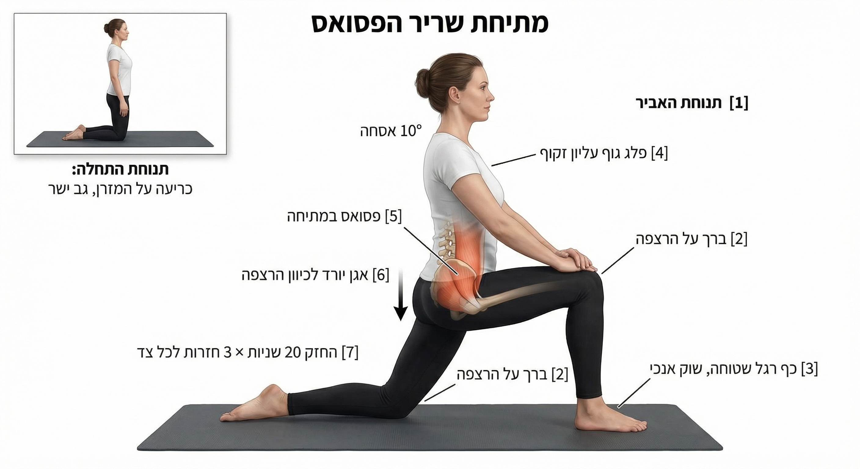 מתיחת הפסואס בפשיטה