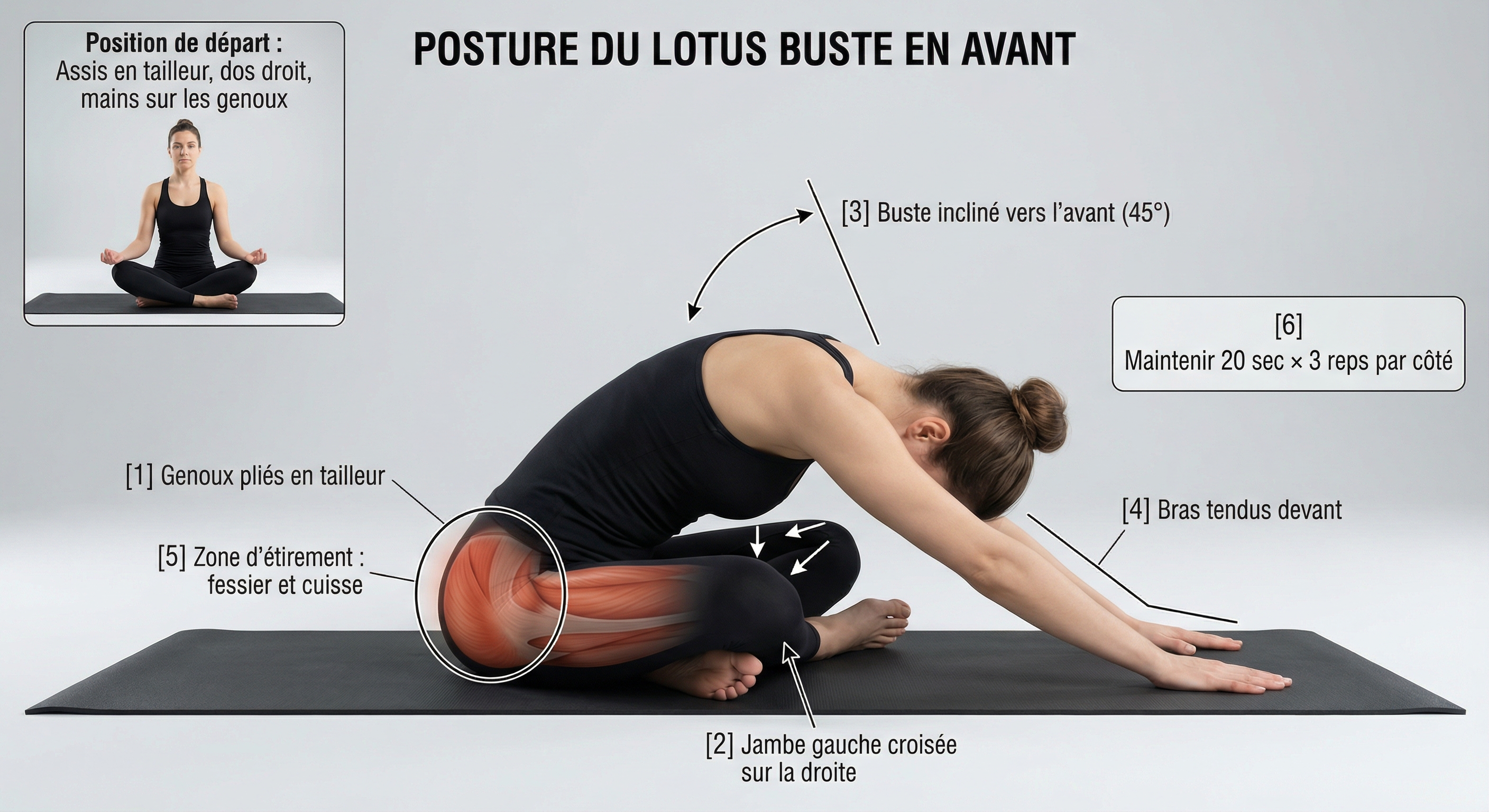 Forward fold lotus illustration