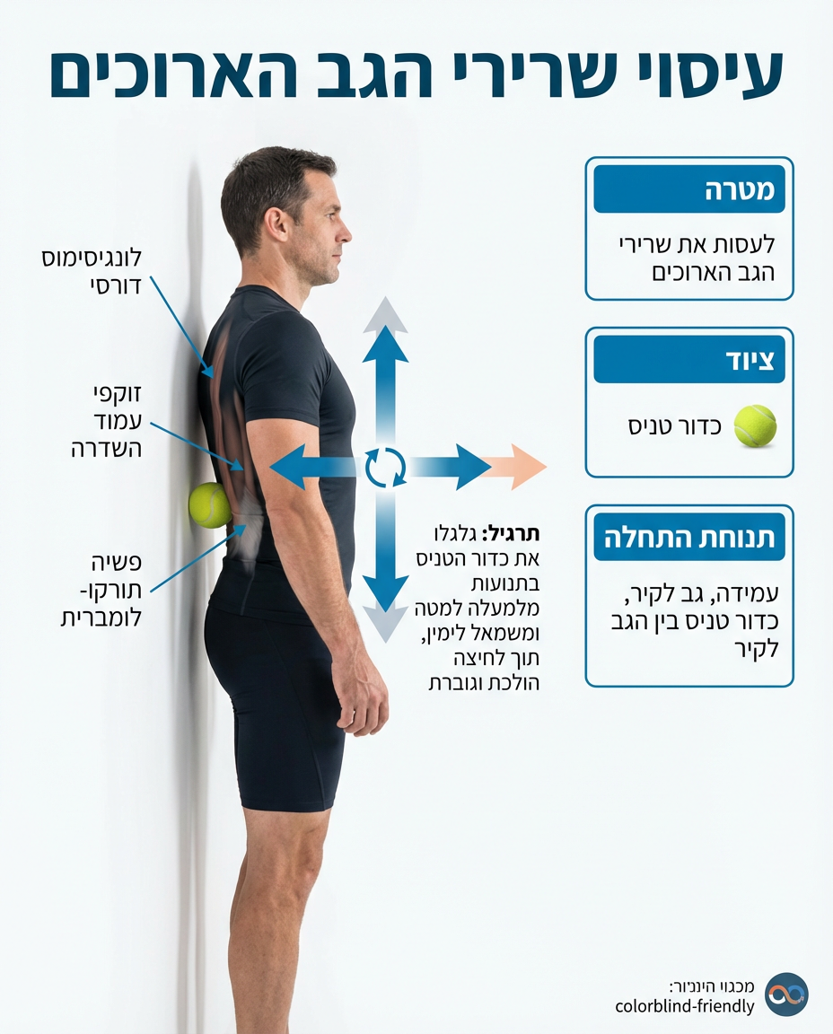 עיסוי עצמי של שרירי גב ארוכים עם כדור טניס