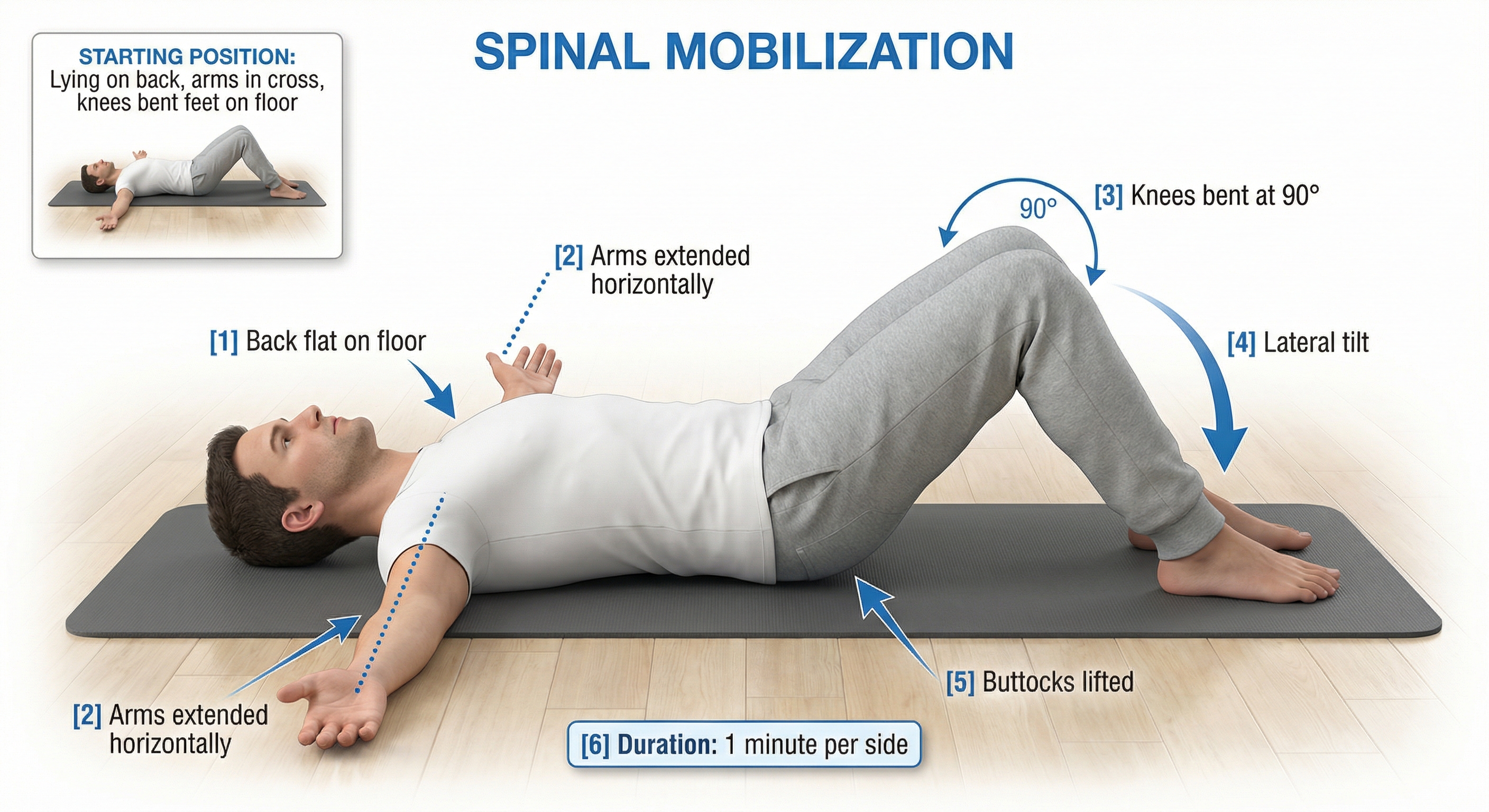 Cat-Cow spinal mobilization